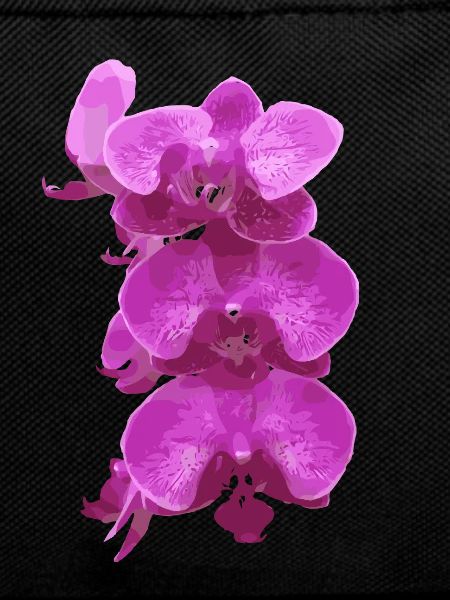 Orchid pink flowers