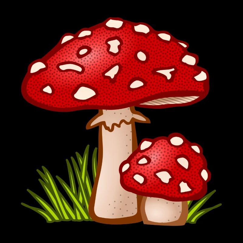 champignons champignons vegetables112 veggie veggie champignons