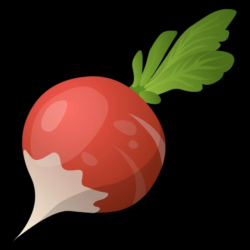 radish. Gift