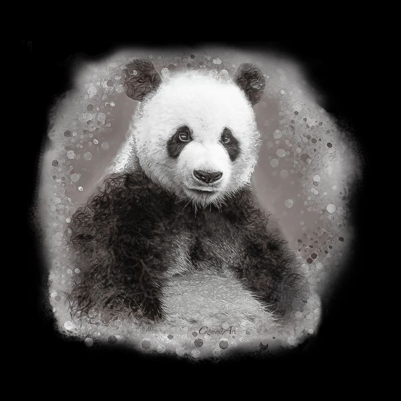 panda