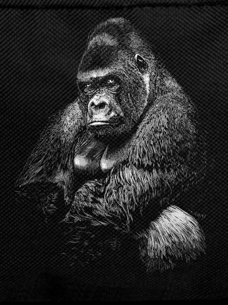 Gorilla