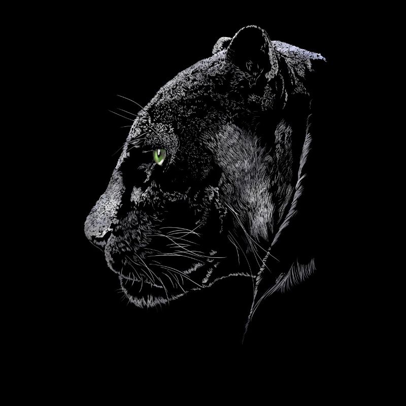 Panther