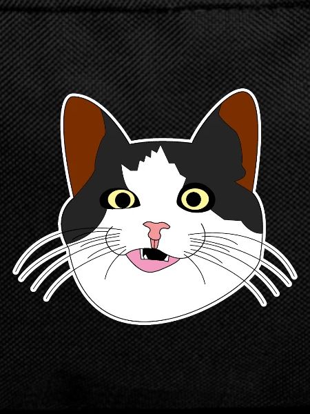 Katze Katzenkopf