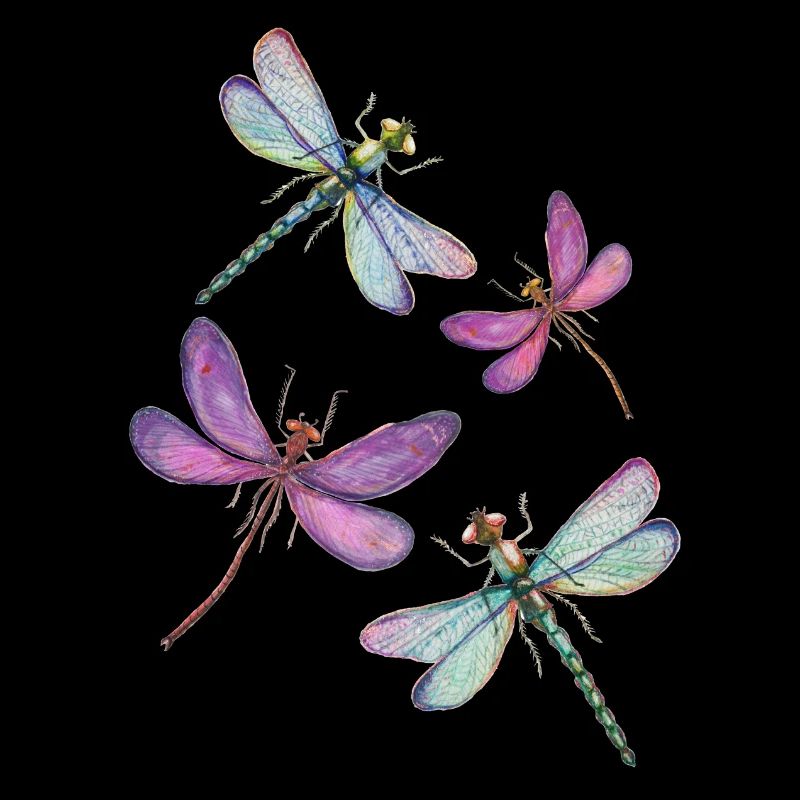Der Flug der Libellen