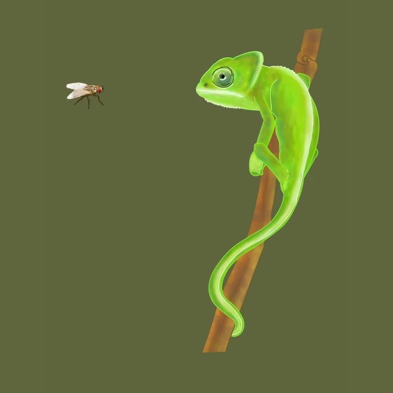 Chameleon and fly