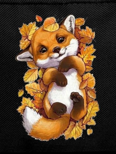 Cute baby fox