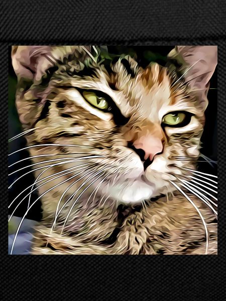 Tabby cat portrait