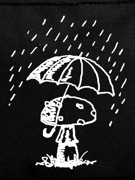 Mushroom in the rain