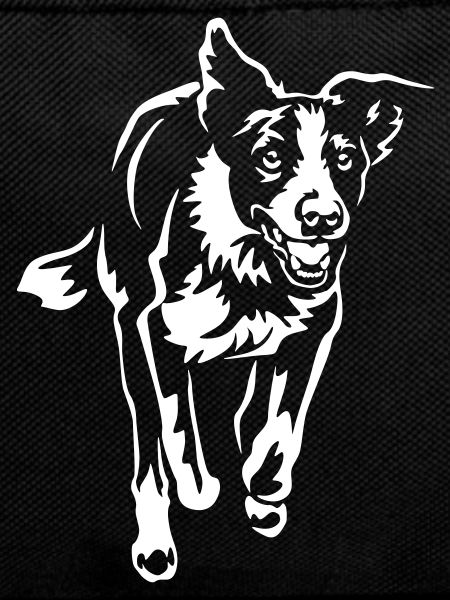 Border Collie "Black Edition"