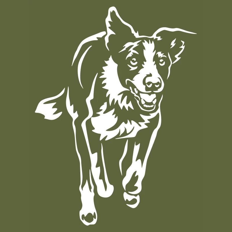 Border Collie "Black Edition"