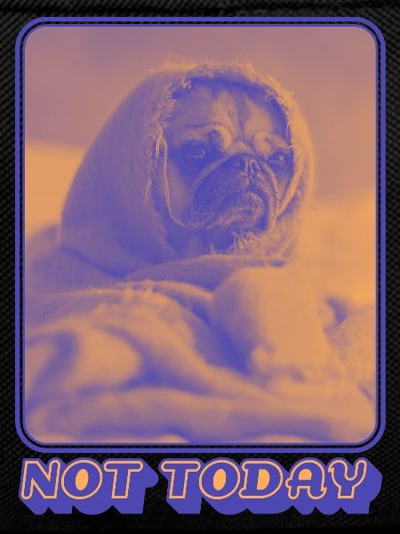 Not Today – Tired Pug Vibes