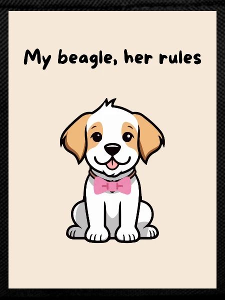 A-beagle-mio_-5-