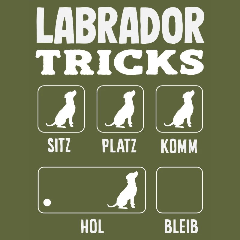 Labrador Tricks