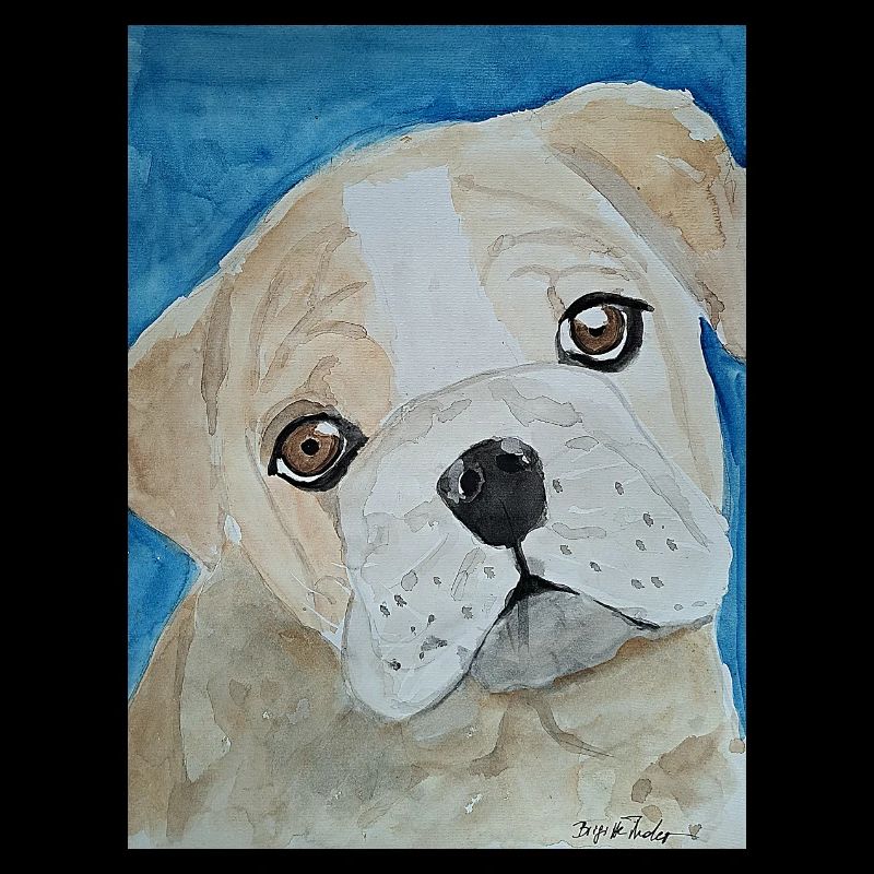 Bouledogue, Aquarelle, Chiot