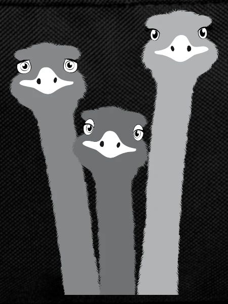 Nandu, ostrich head, emu, ostrich