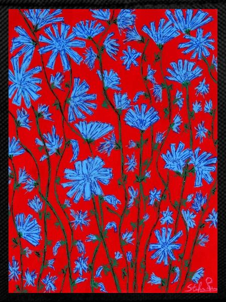 Chicory flowers