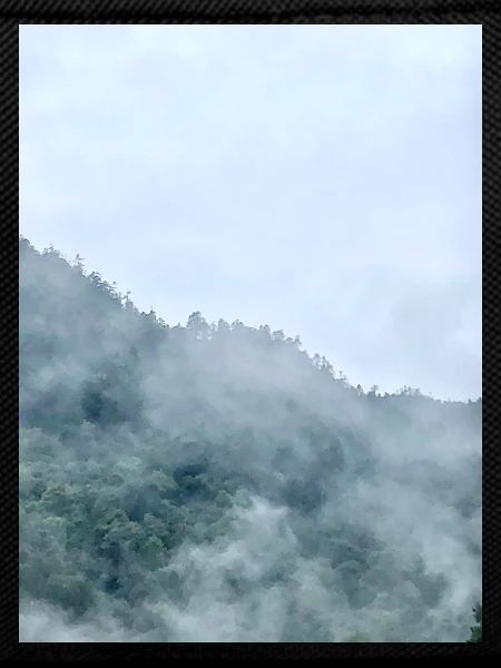 Misty Mountain Fog Landscape