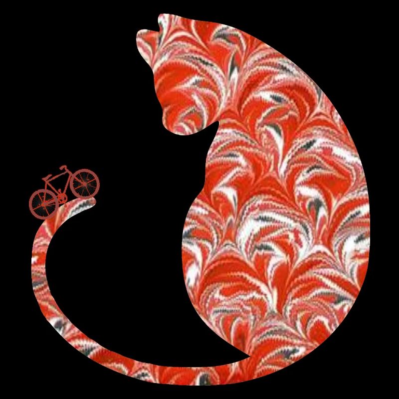 cat with bicycle e 231