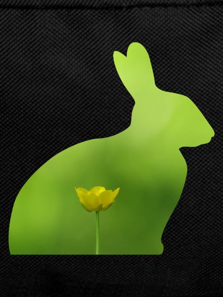 Hare
