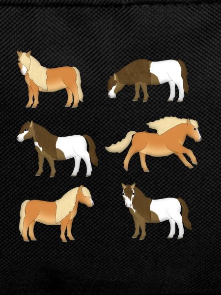 Shetland Pony Selection