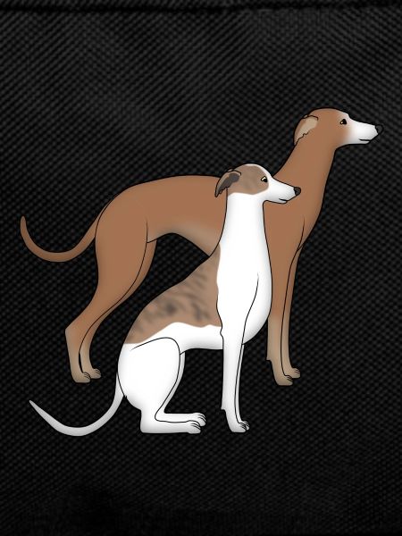 Zwei Whippets