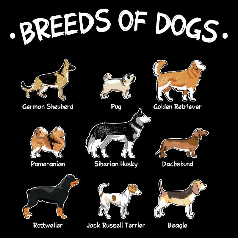 Races de chiens