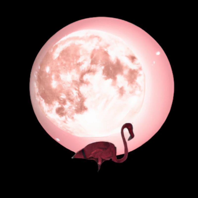 Flamingo Moon pink pink gift idea