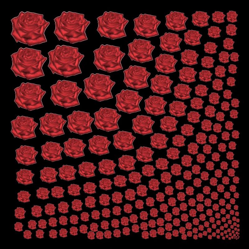 Rosen rot Geschenkidee