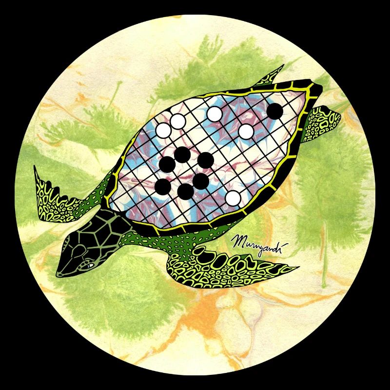 The Turtle Shell