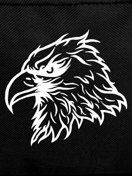 Cool Bald Eagle Eagle