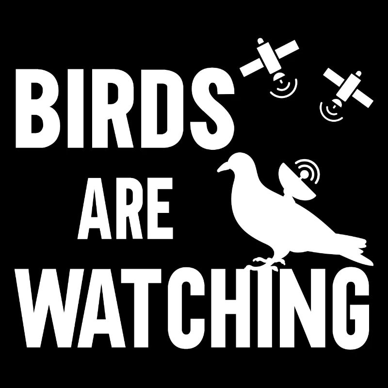 Les oiseaux observent