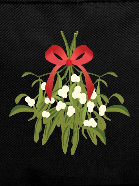 Christmas mistletoe