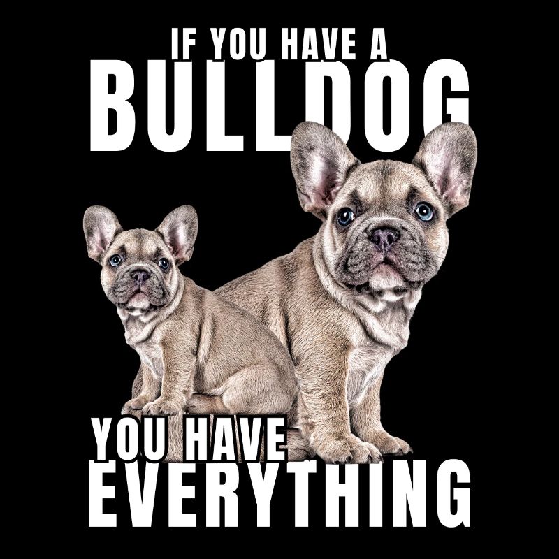 SI VOUS AVEZ UN BOULEDOGUE - bouledogue français