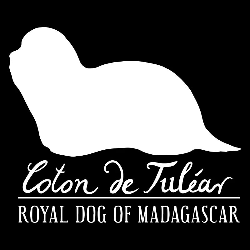 Coton de Tuléar