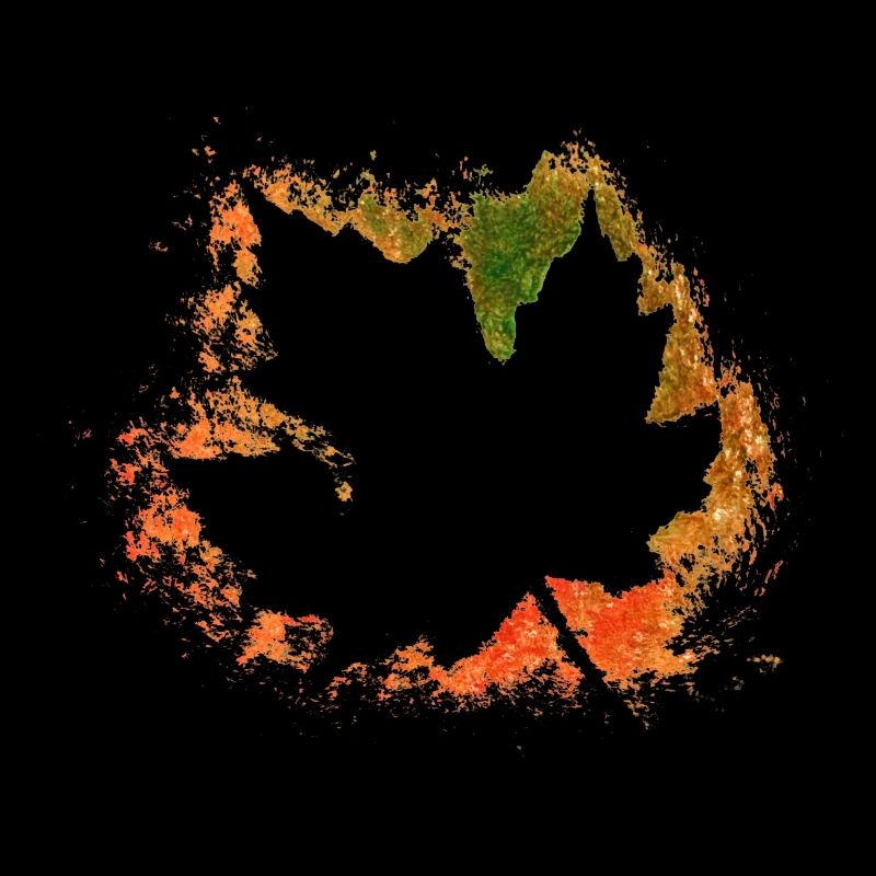 Feuillage d’automne