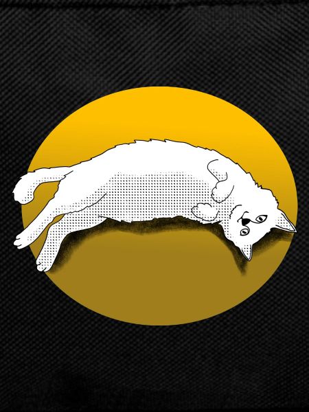 Chat câlin