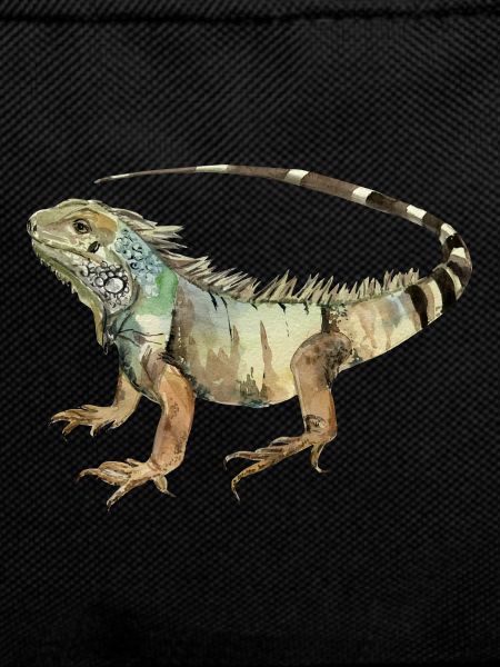 iguana