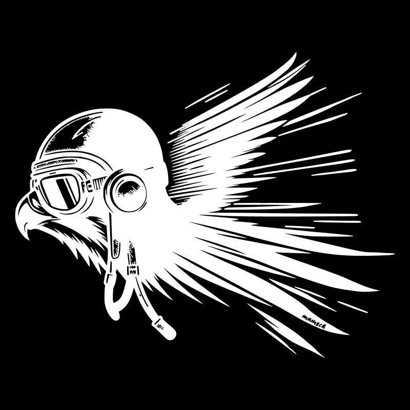 Pilot Hawk