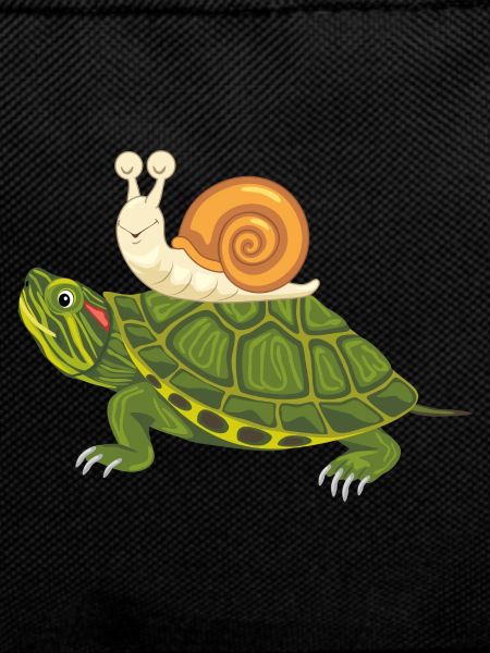 Funny happy turtle and snail