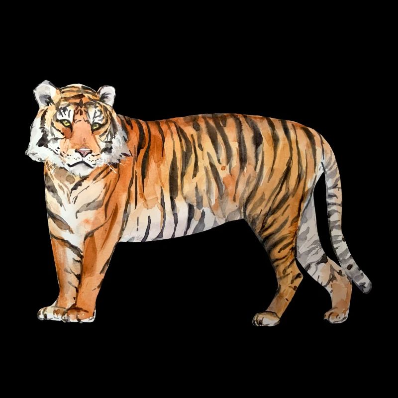 tiger