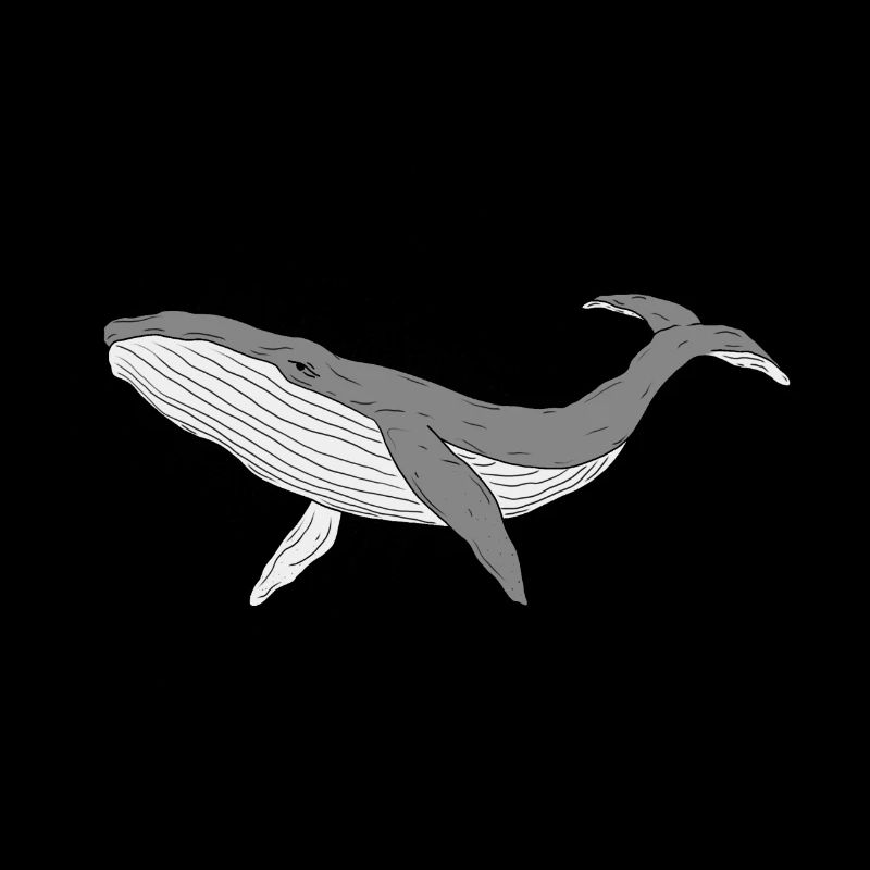 Sparkly whale