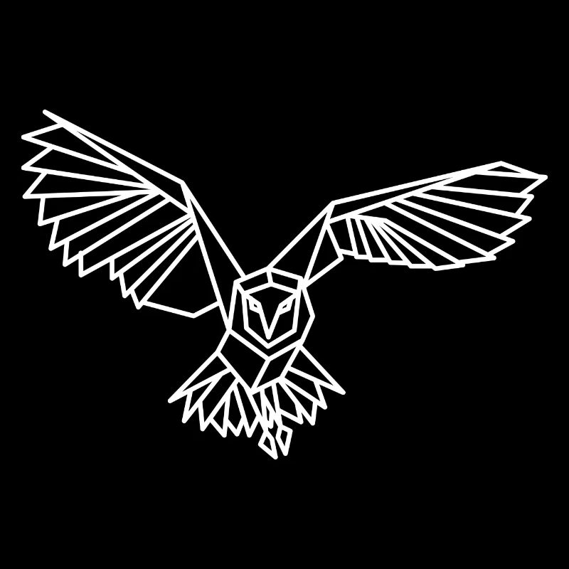 Owl contour