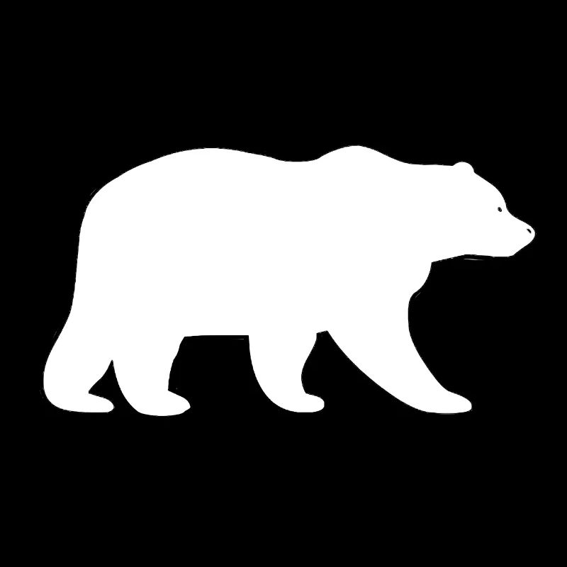 Ours blanc