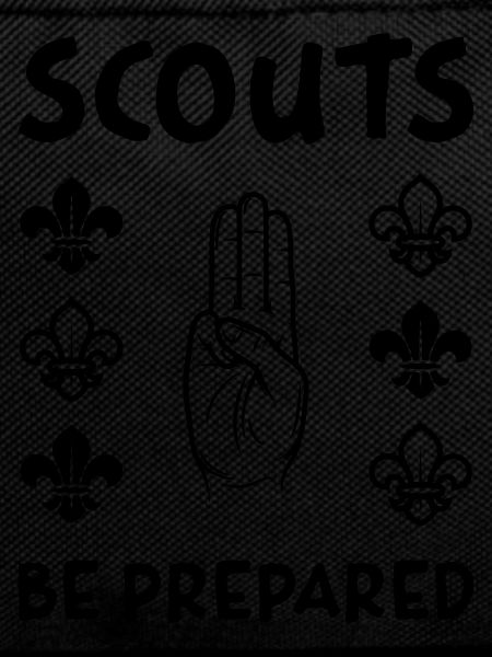Scouts Always Ready!