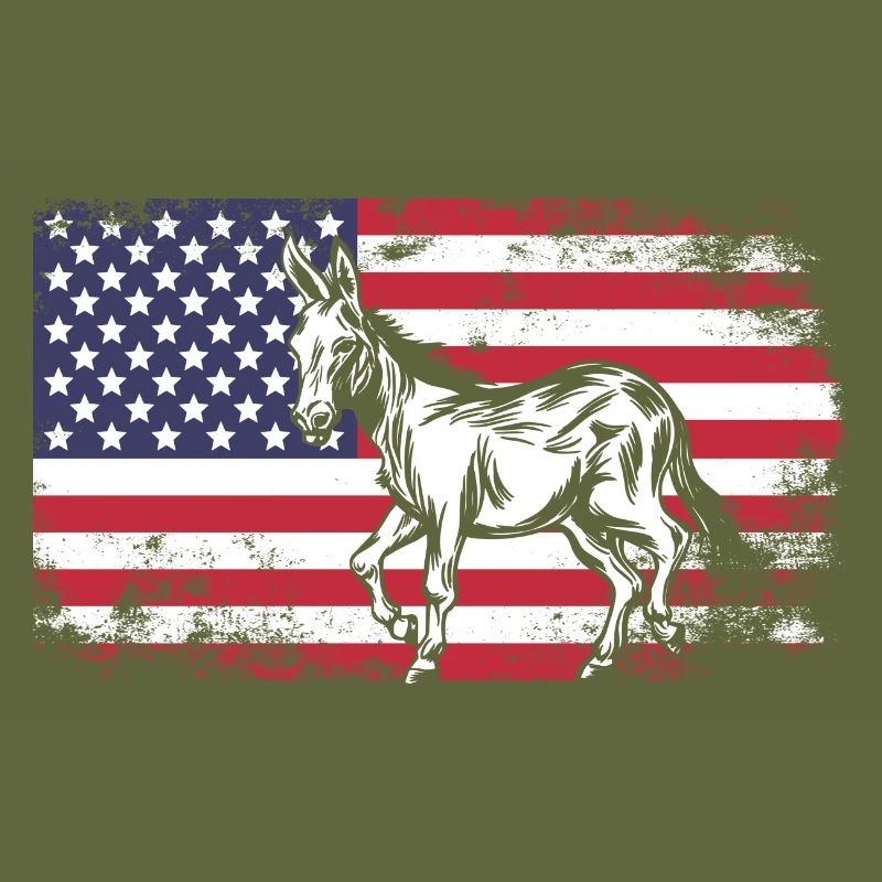 Donkey Mule USA