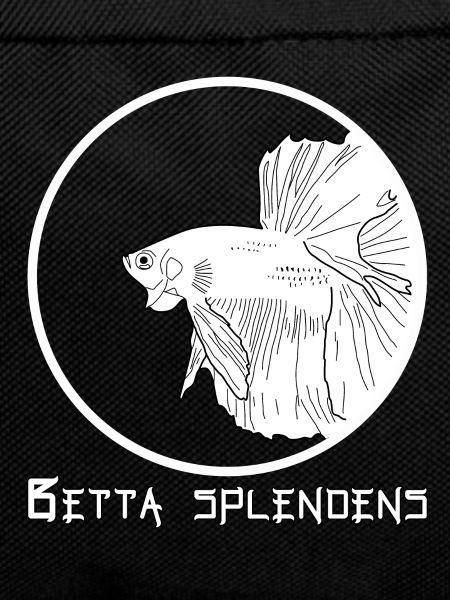 Betta splendens (Halfmoon)
