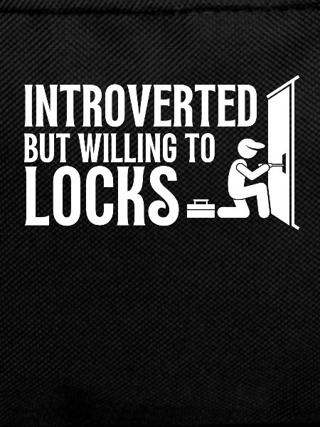 Lockpick Lockpicking Professional Locksmith
