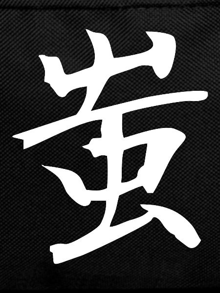 Japanese Kanji: Fool