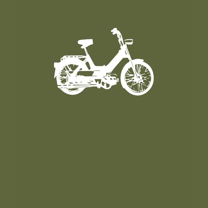 DDR Moped Oldtimer Roller Mofa Scooter 2 Takter