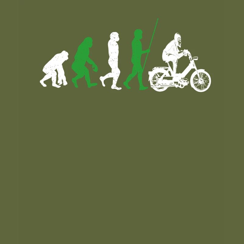 DDR Moped Oldtimer Roller Mofa Scooter 2 Takter